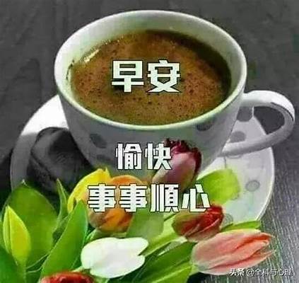 IMG_0212.jpeg