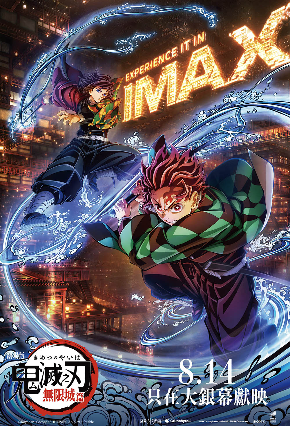 DSIC _ IMAX Poster copy2.jpg