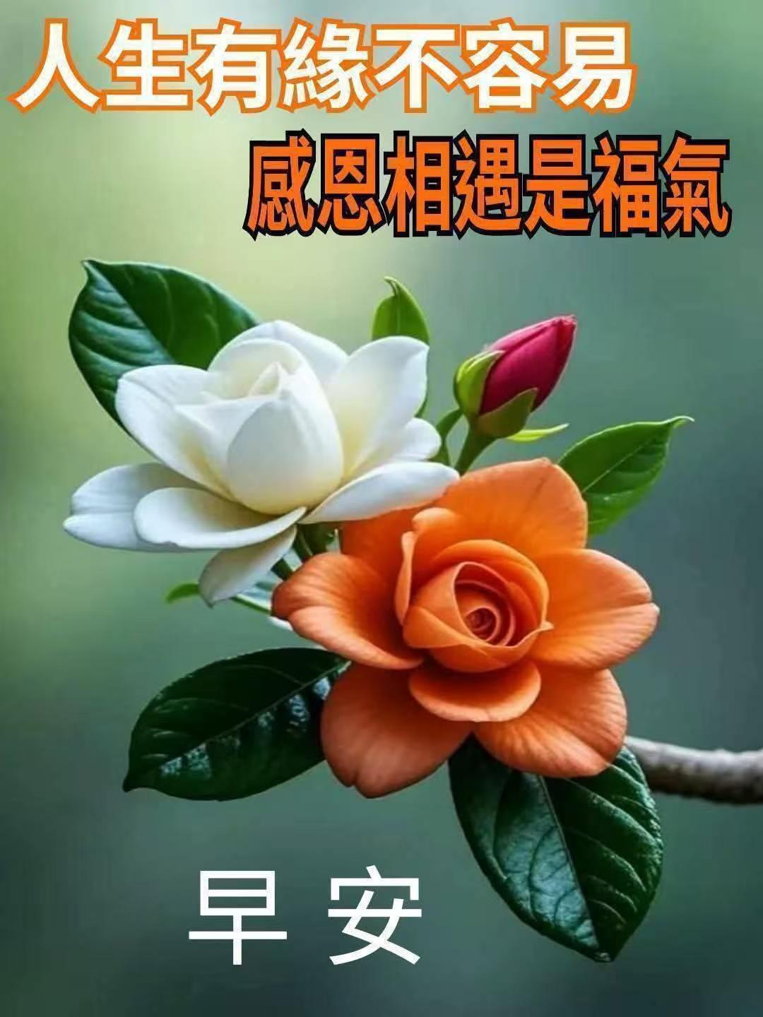 92ba83b9f2058d3b89a387b5388a48c3.jpeg