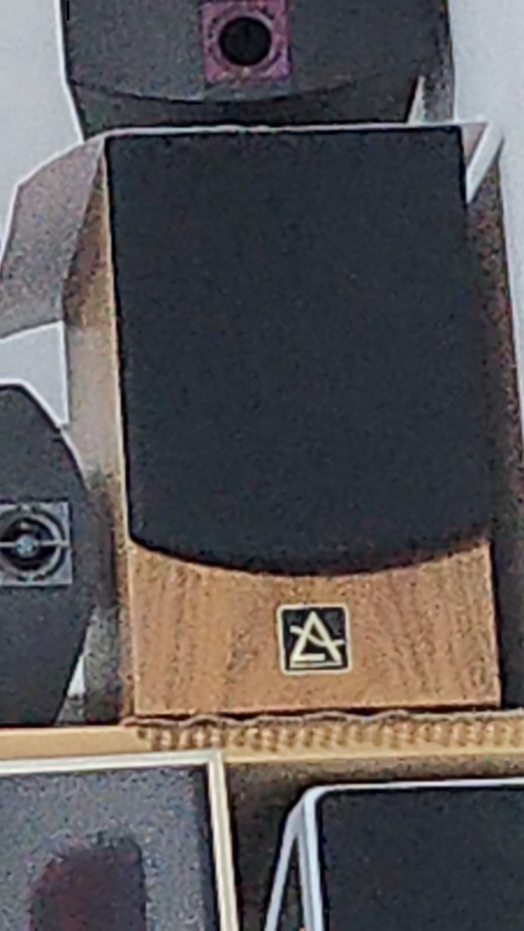 1000032121.jpg