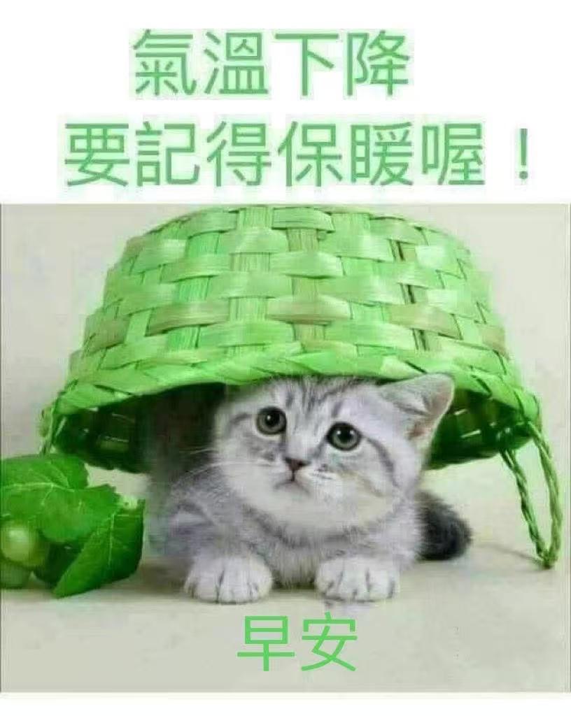 bb1384a4dcc06f5f904999332e4427c5.jpeg
