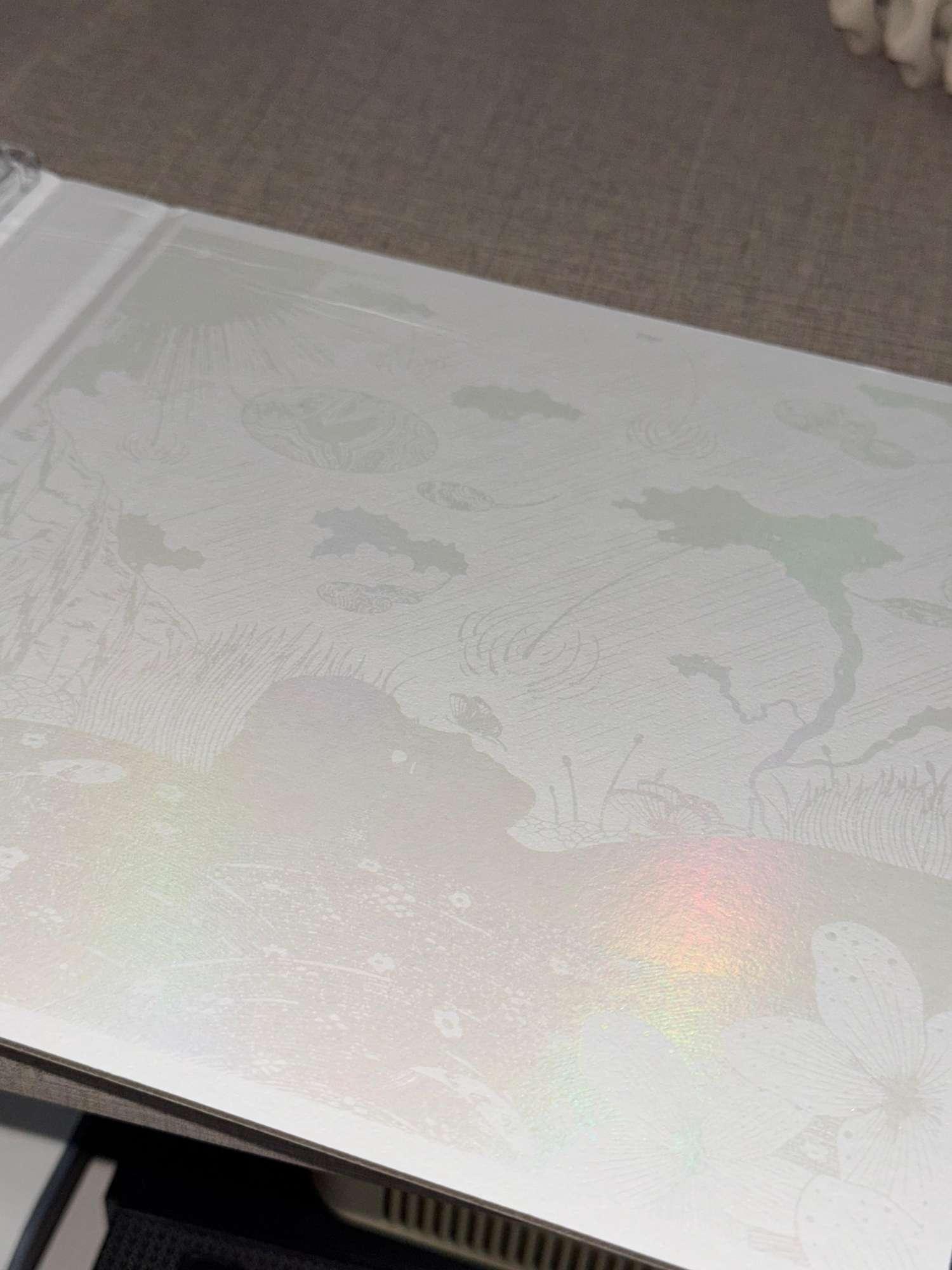 WhatsApp Image 2026-01-24 at 15.36.35h.jpeg