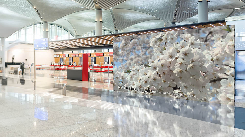 Public.Spaces_01 copy1.jpg