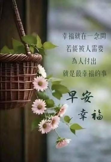 a981a79804f7e1da47c07bc46326fd9a.jpeg