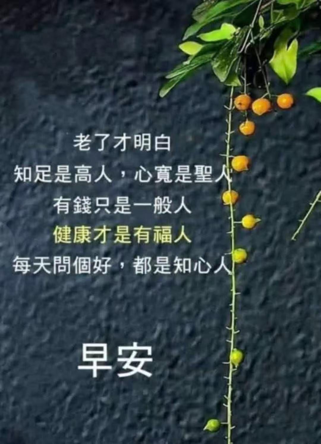 e63766f34801ab5ff14eb4d53d61c939.jpeg