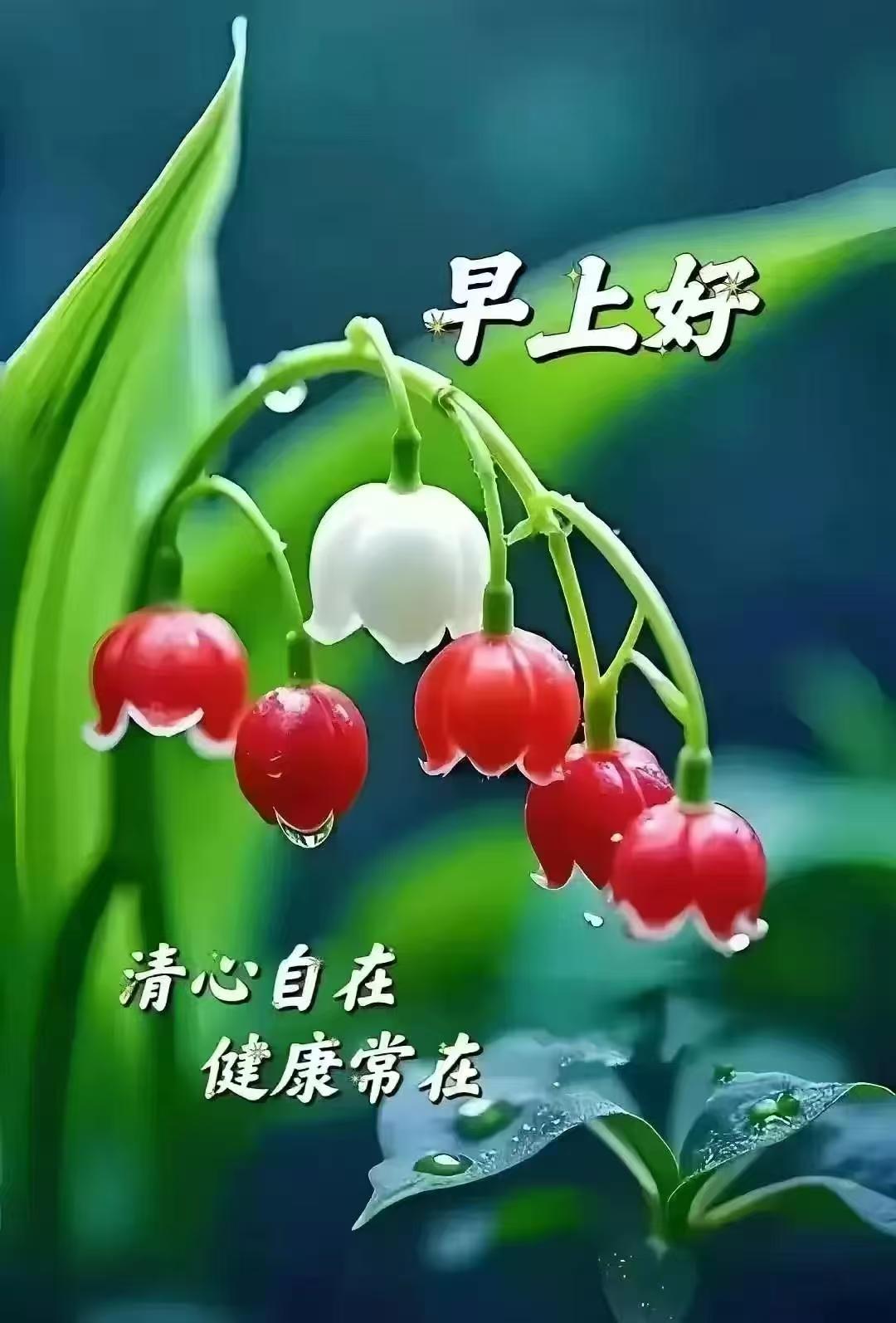 7adc1ea2c7339d1e4e59b18a77d7e192.jpeg