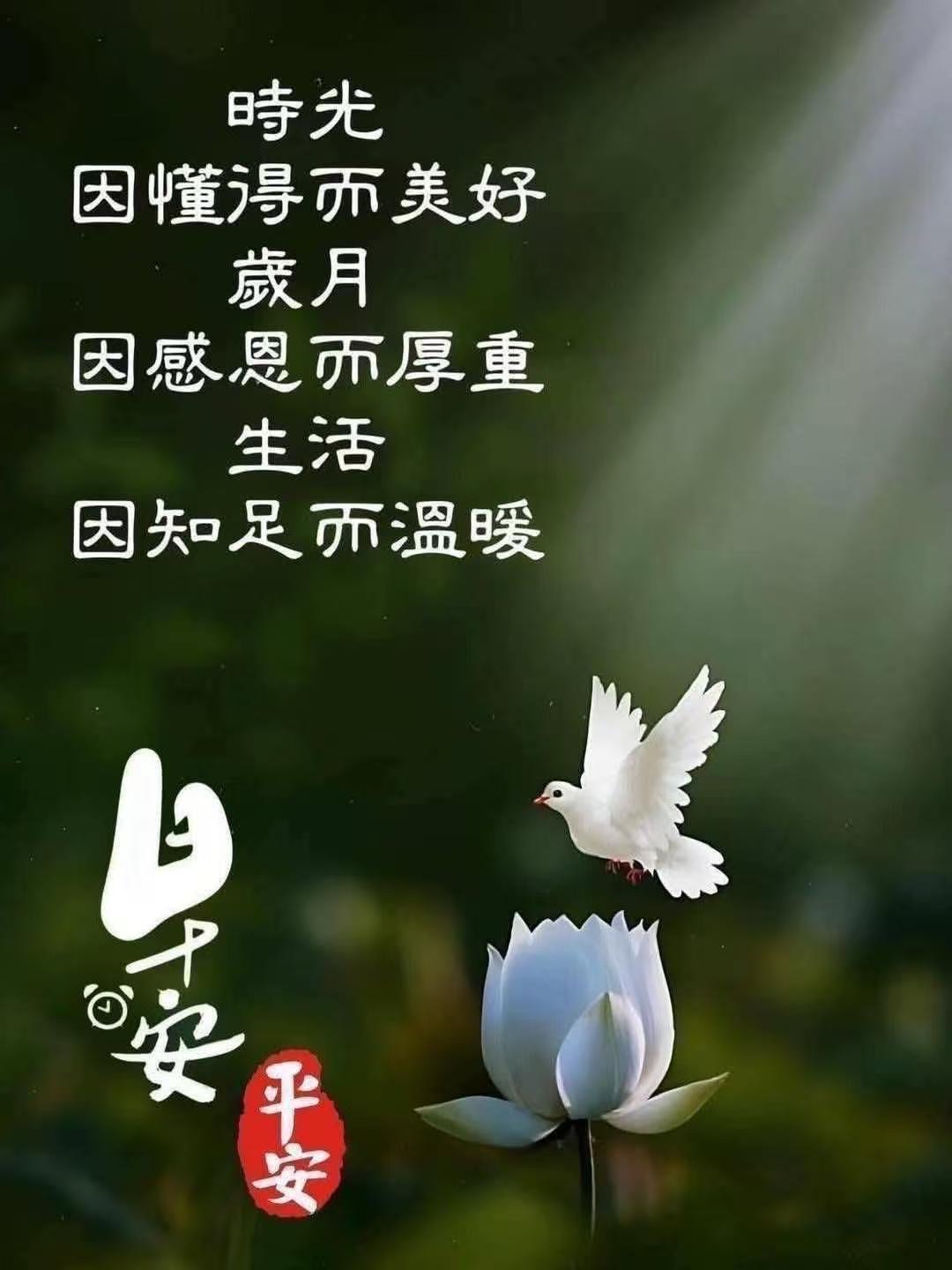 d69e9d5794b068c55f0c3ee77ee38add.jpeg