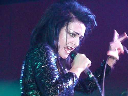 Siouxsie-Sioux-2007-concert-photo-siouxsie-and-the-banshees-10144943-500-375.jpg