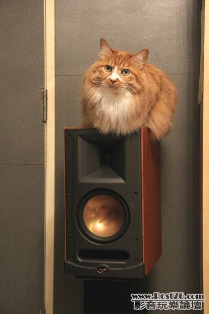 Side Surround Speaker