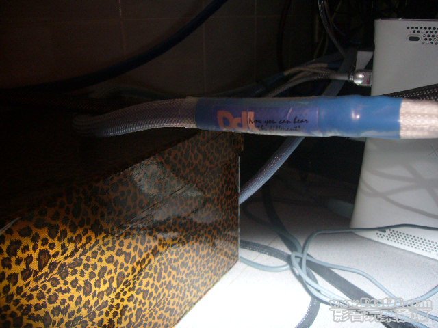 P1030487.JPG