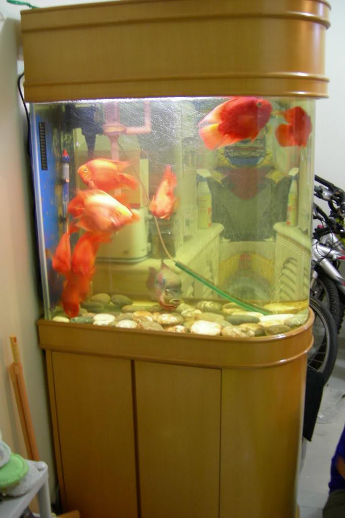 tank.jpg