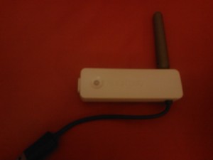 IMG029a.jpg