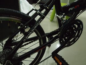 2010-10-02_00005.jpg