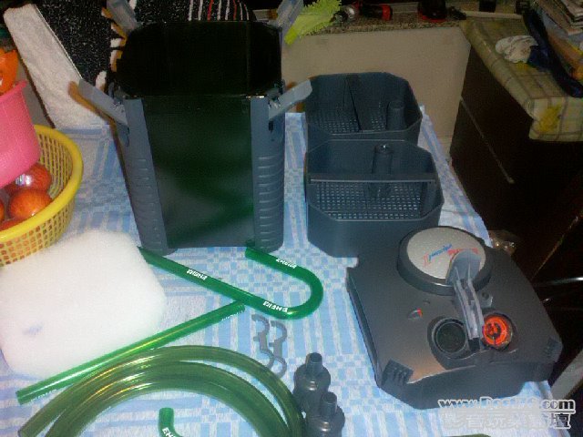 2010-12-28_21-49-35_821.jpg
