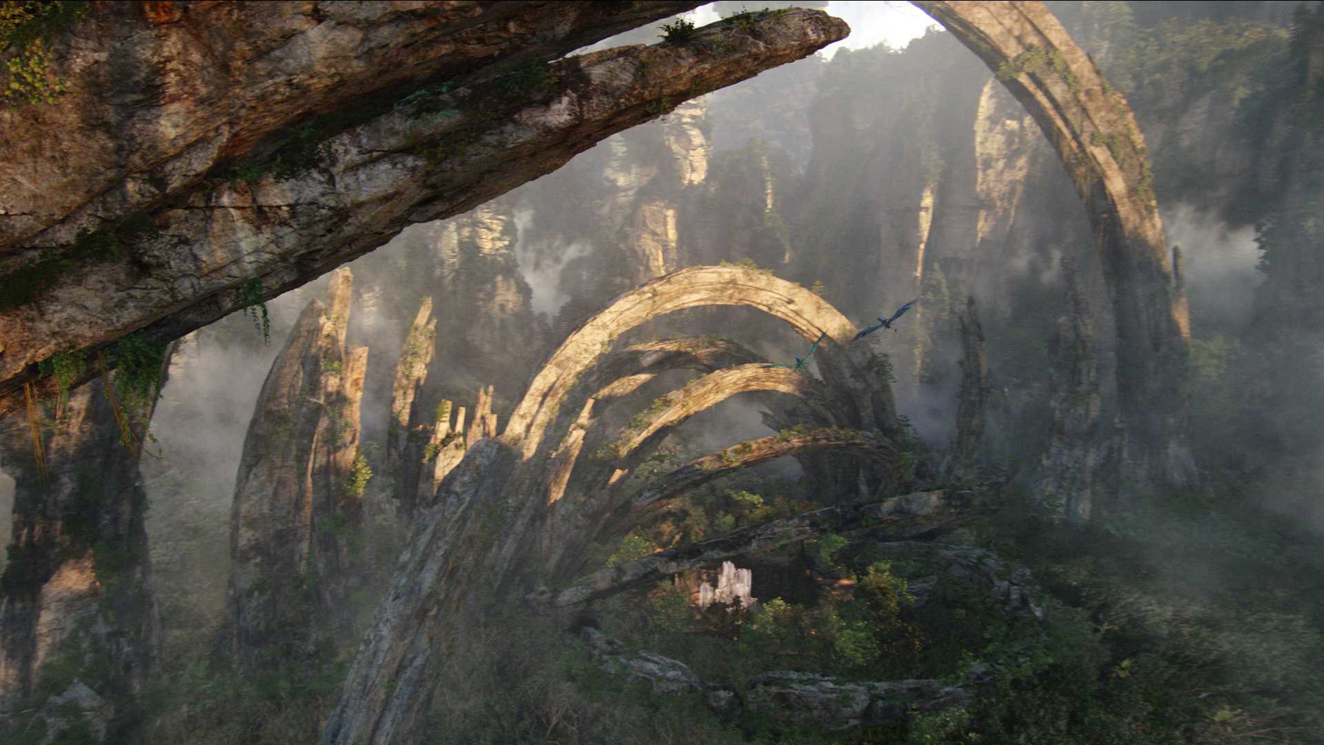 avatar_25.jpg