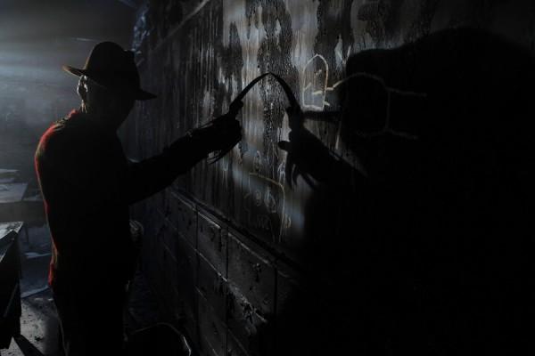 freddy.jpg