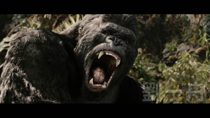 kingkong2005R1_feature06.jpg