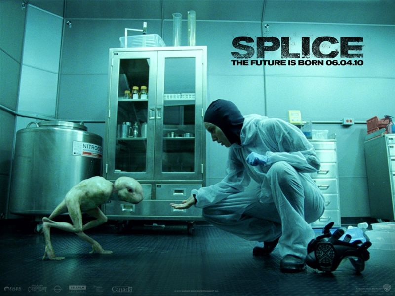 Splice-002.jpg