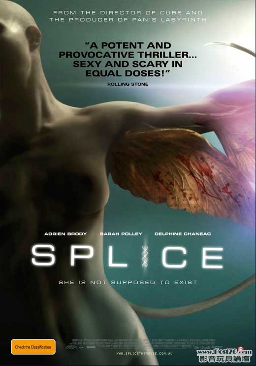 splice-agentine.jpg