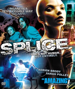 splice-singapore.jpg