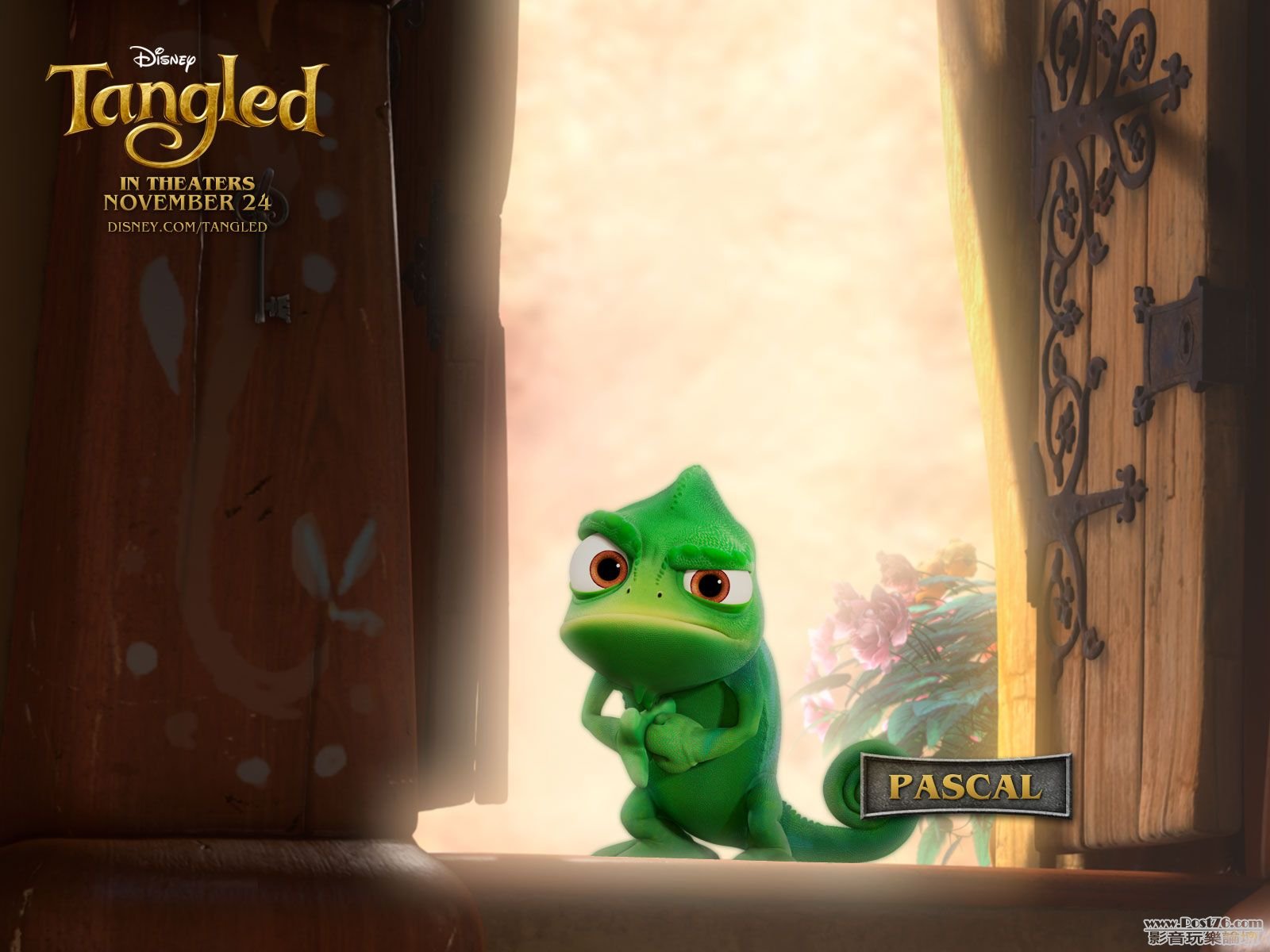 tangled_wallpaper_004.jpg