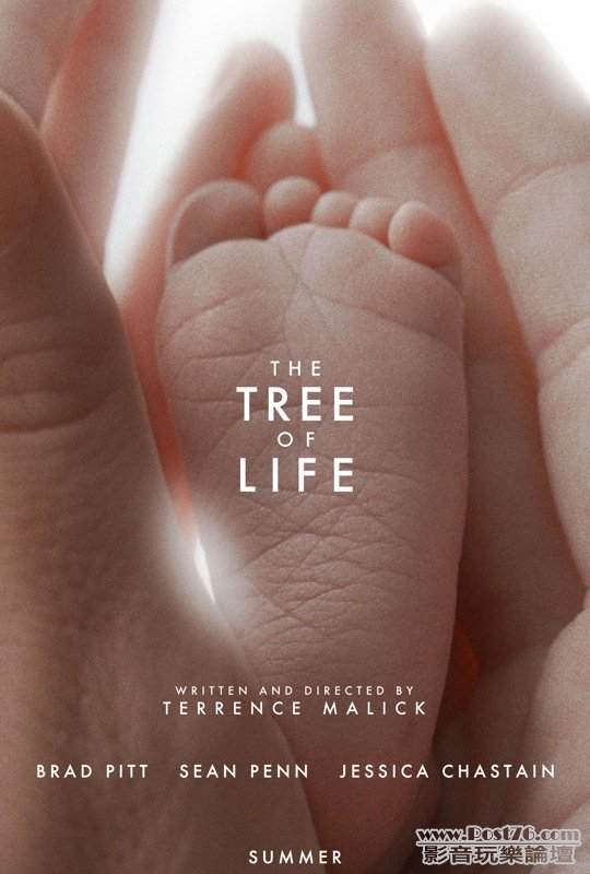 treeoflife_2.jpg