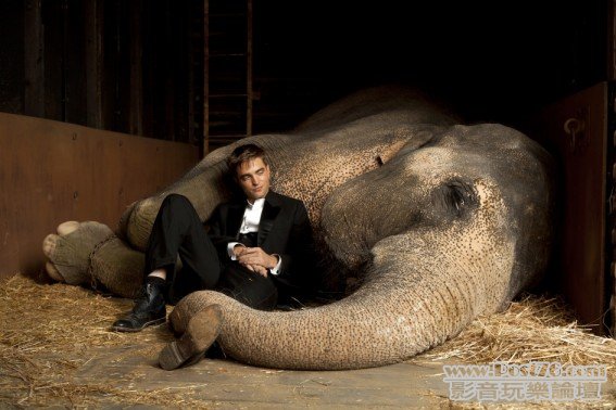 waterforelephants_2.jpg