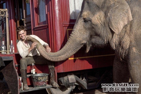waterforelephants_1.jpg