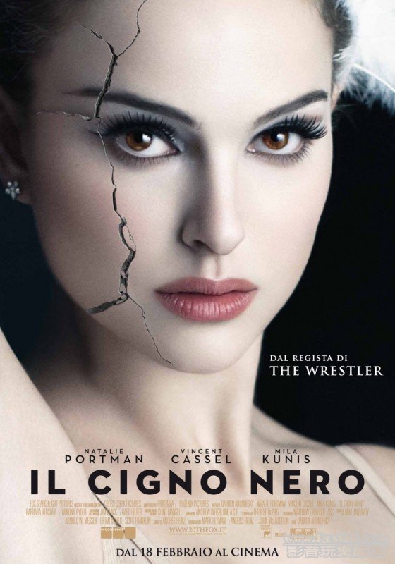 black swan it.jpg