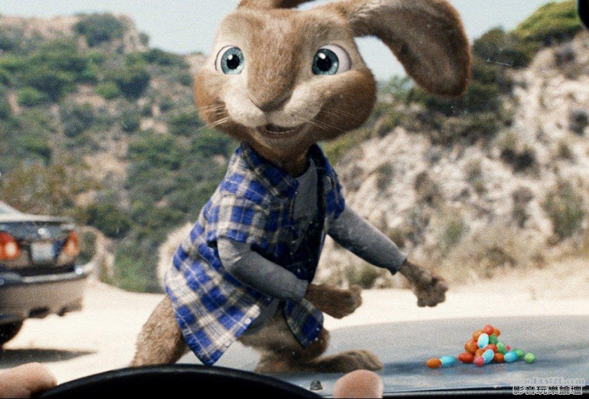 hop_007.jpg