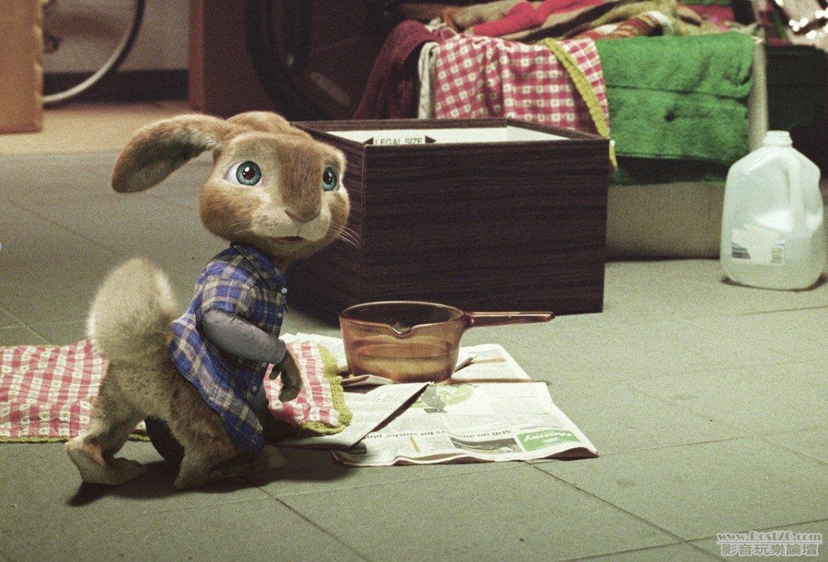 hop_003.jpg