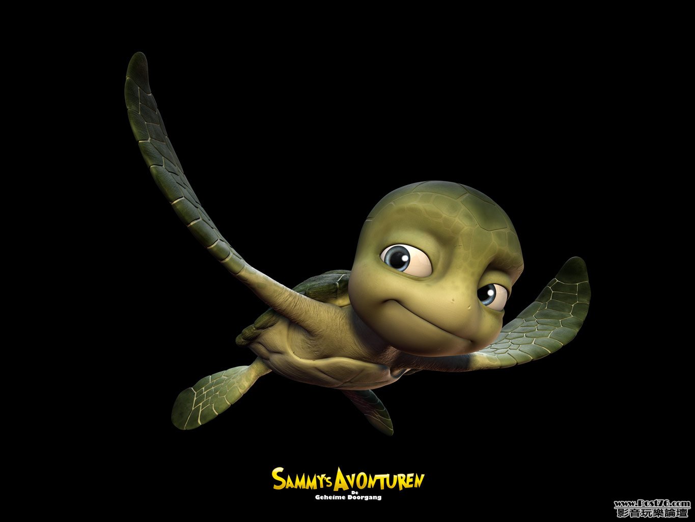 Sammy_1.jpg
