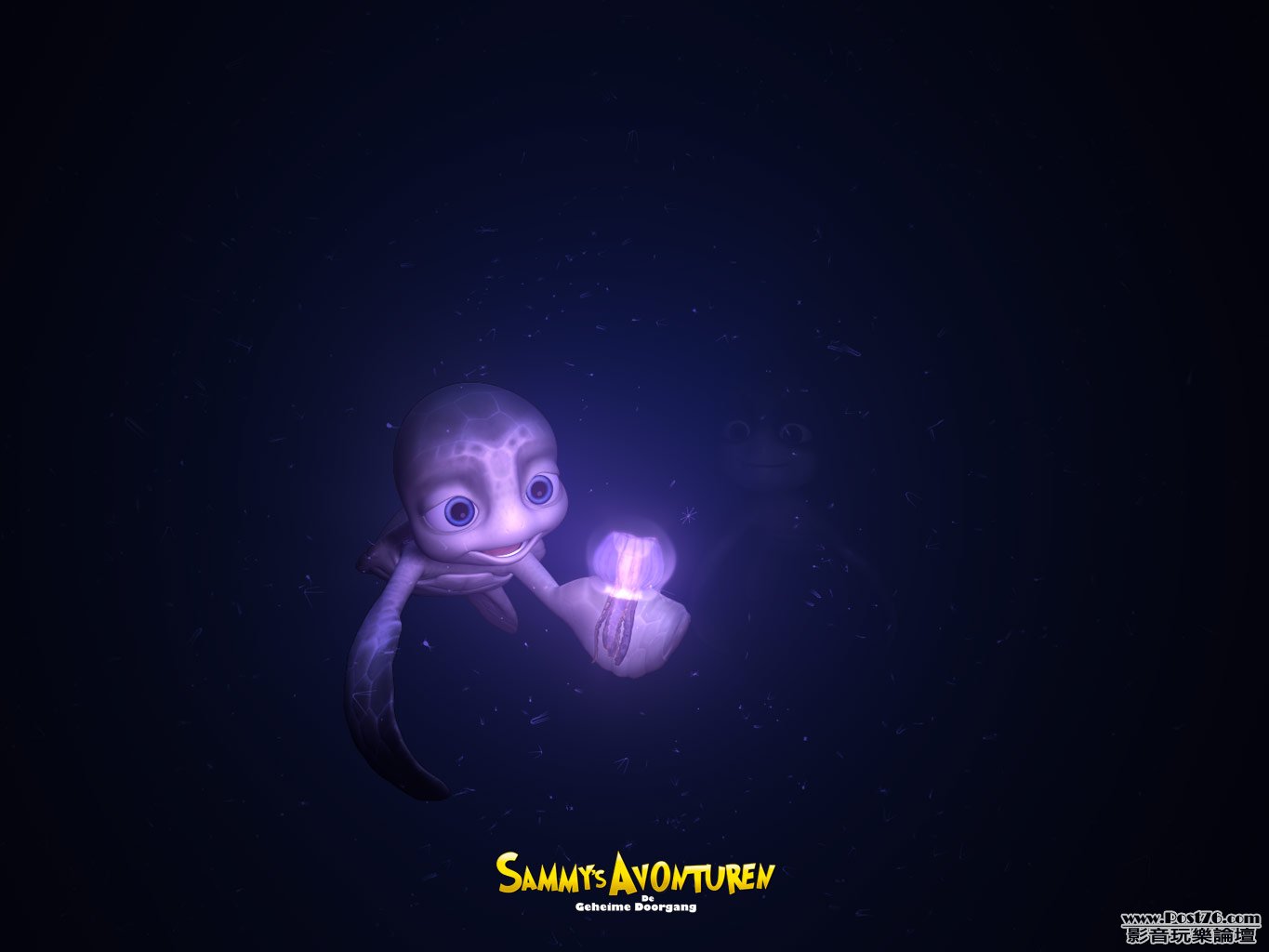 Sammy_2.jpg