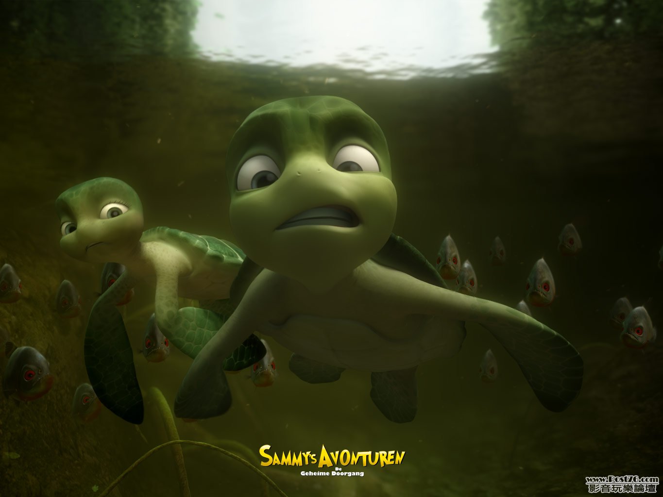 Sammy_4.jpg