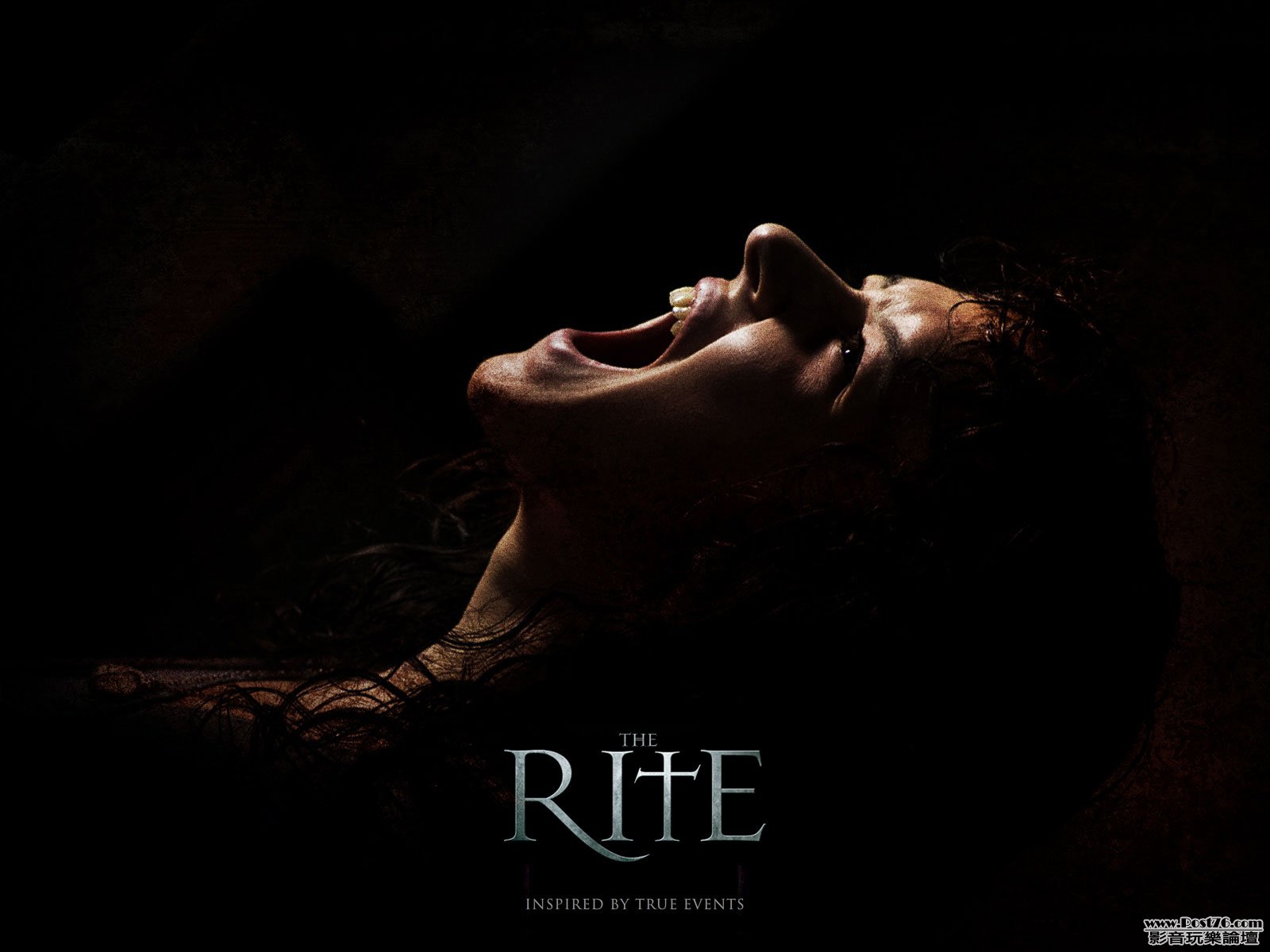 rite wp 2.jpg