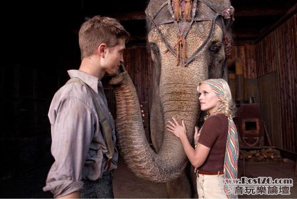 Water for Elephants 1l.jpg