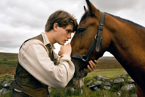 warhorse_4.jpg
