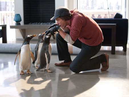 Mr Popper\'s Penguins Live Action.jpg