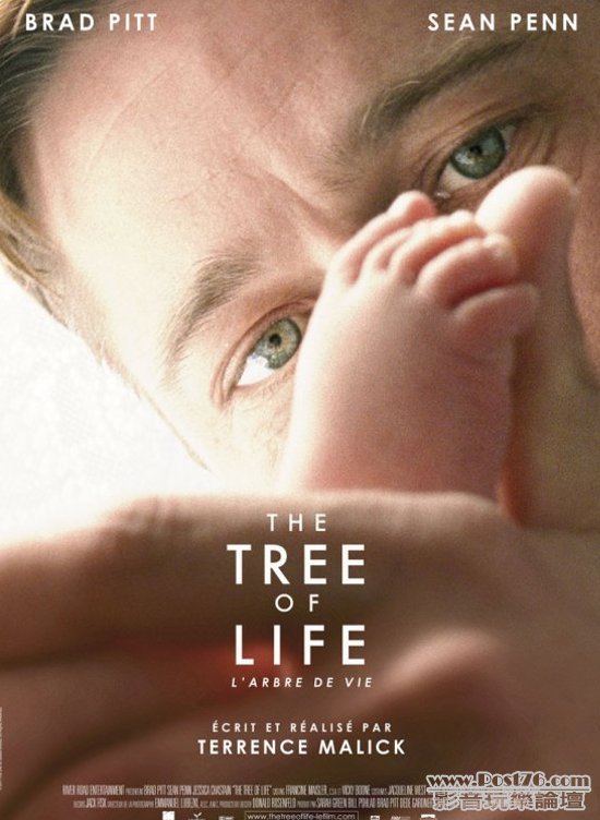 The Tree of Life p 2.jpg