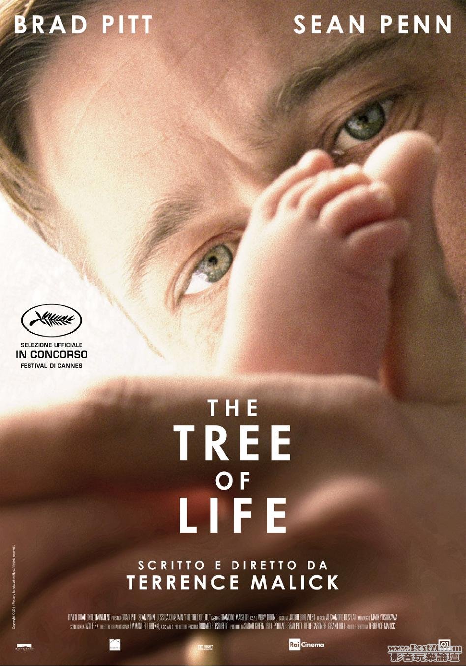 tree of life it.JPG