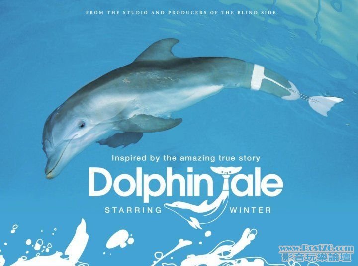 Dolphin Tale 3.jpg