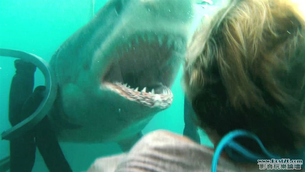 Shark Night 3D 2.jpg