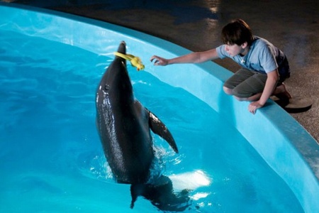 Dolphin Tale 10.jpg