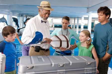 Dolphin Tale 01.jpg