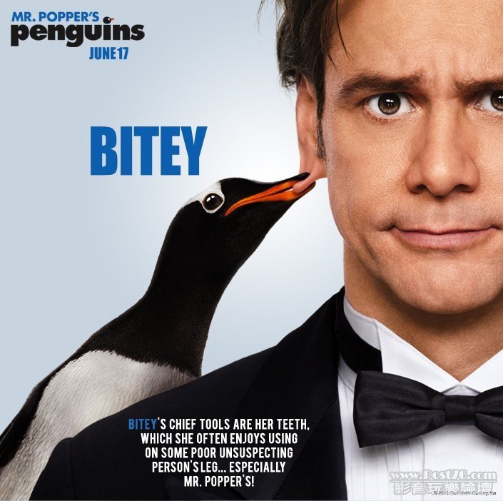popperspenguins-10.jpg
