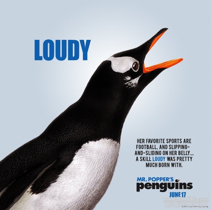 popperspenguins-9.jpg