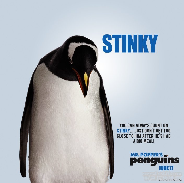 popperspenguins-13.jpg
