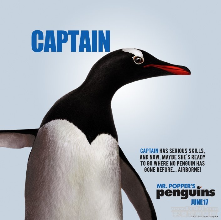 popperspenguins-11.jpg