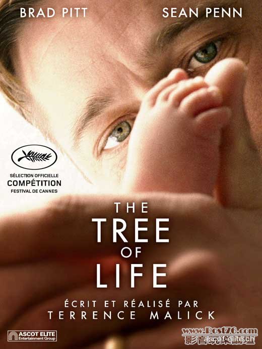tree of life sw.jpg