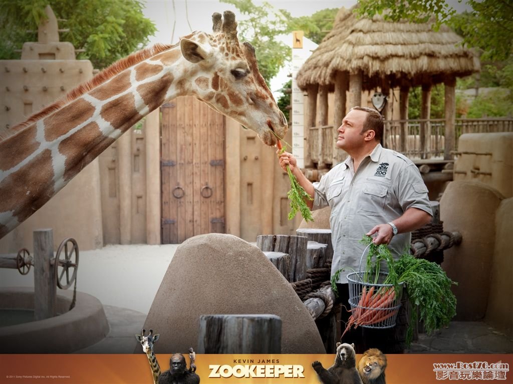 Zookeeper wp2.jpg